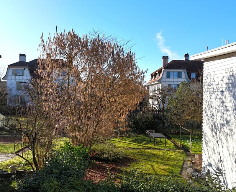 Im beliebten Wohnquartier *Blumenstrasse* (5)