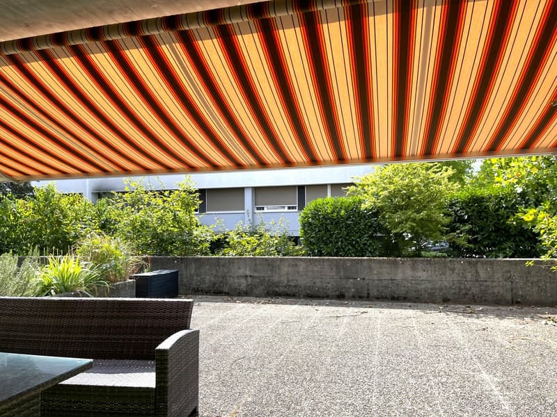 Parterre mit schönem Grundriss & einer grossen Terrasse (1)
