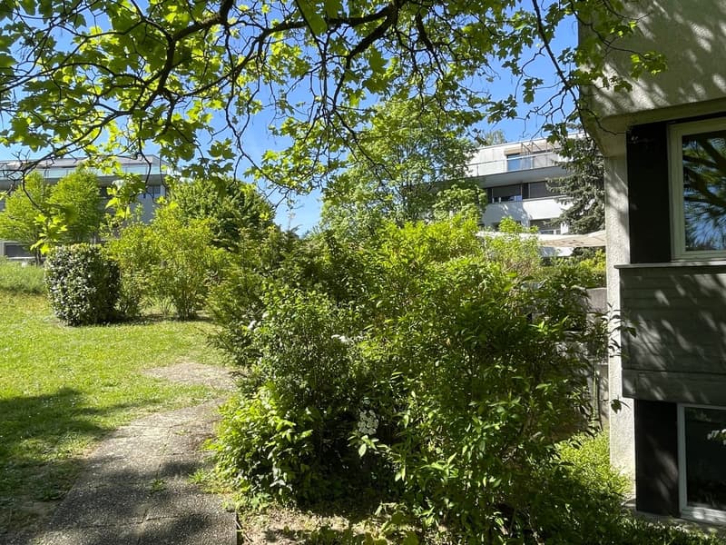 Parterre mit schönem Grundriss & einer grossen Terrasse (7)