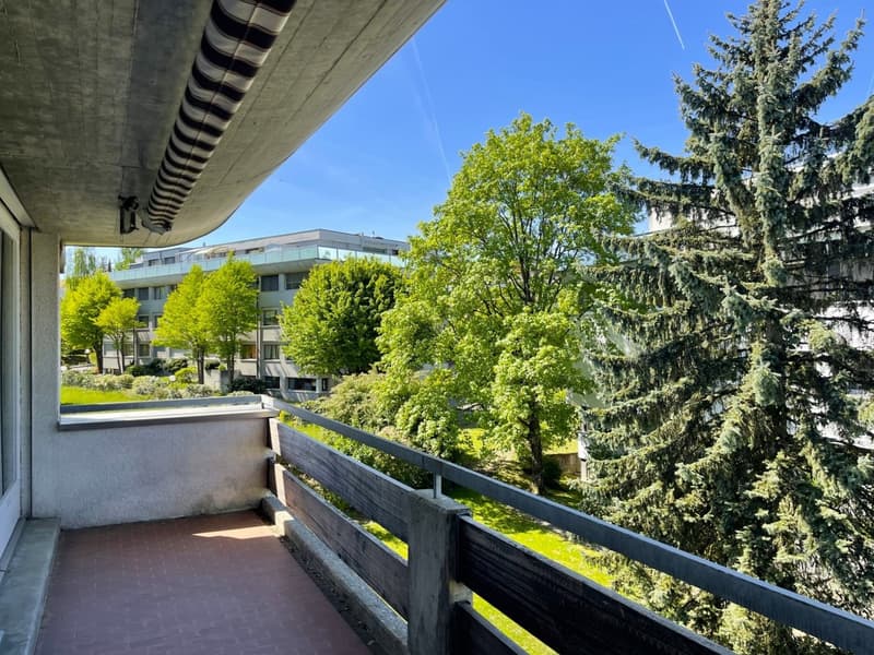 Schöner Grundriss, Balkon und Dachterrasse (7)