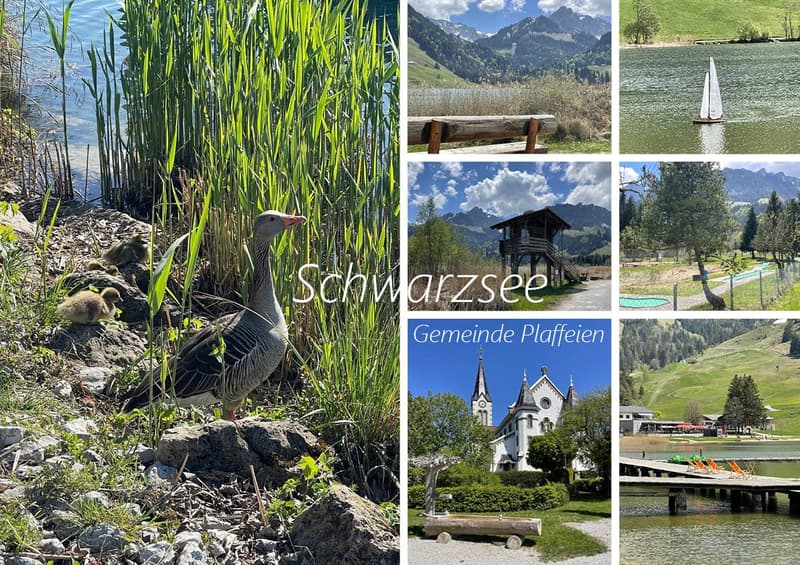 Sommer- & Winterhaus "Seeblick" (2)