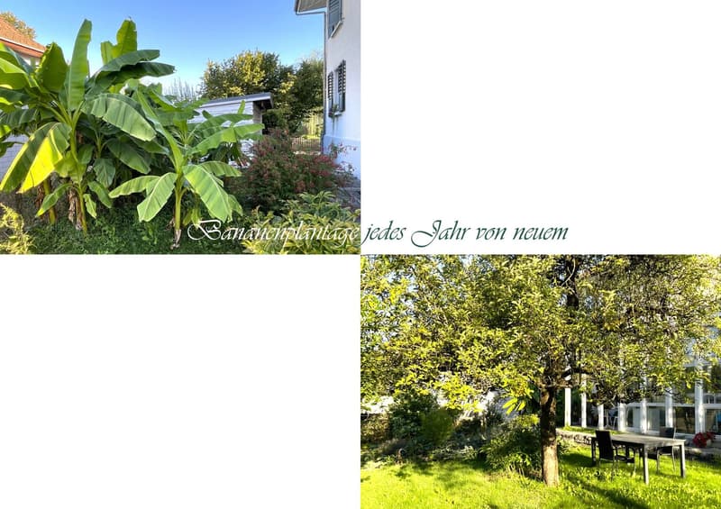 Ruhig und kinderfreundlich (2)
