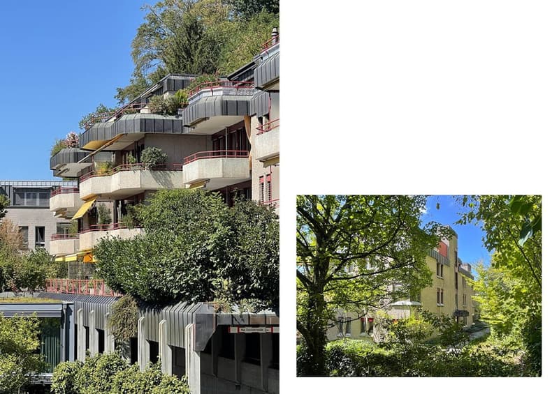Zentrumsnah & naturverbunden zugleich - 3.5 Zimmer und separates Büro (4)