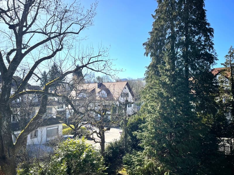 Charmante 4.5-Zimmer-Wohnung mit Balkon an ruhiger Lage in Bern (5)