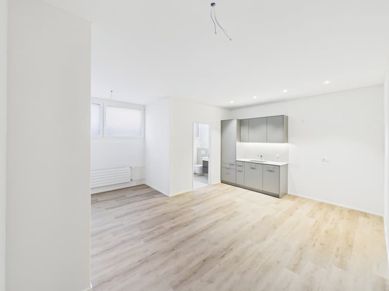 empty room, modern design, wooden flooring, white walls, white ceiling, kitchen area with sink and cabinets
