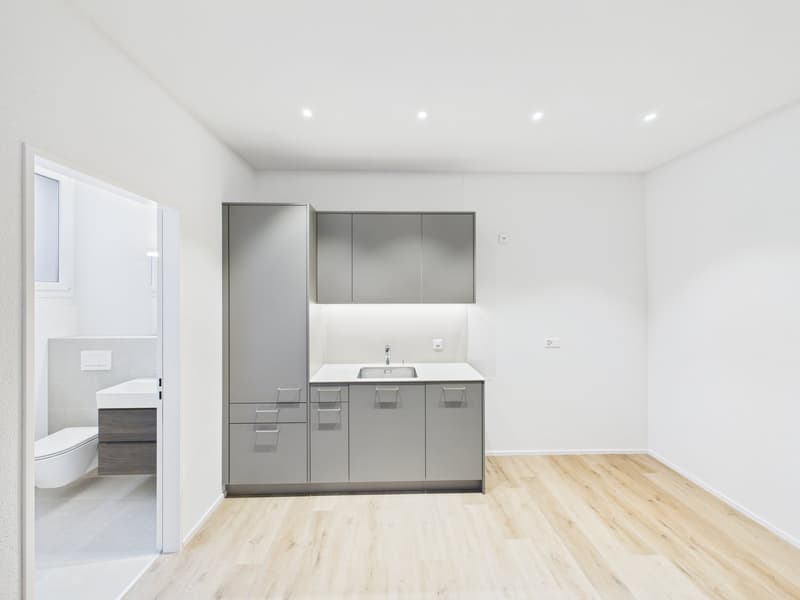 empty room, modern white interior, wooden floor, kitchen area with sink and cabinets