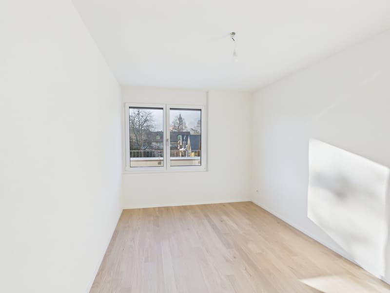 Modern 4.5-room attic apartment (7)