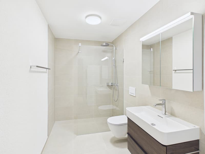modern white tiles, large shower enclosure, white toilet, vanity with silver faucet, large mirror, recessed lighting