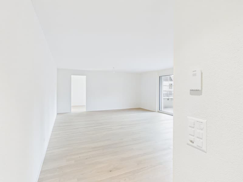 empty room, white walls, wooden floor, balcony, glass window
