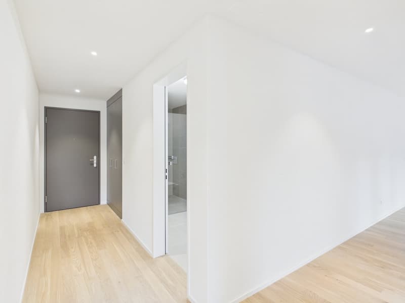 Empty hallway, with white walls, wooden floor, grey doors, and a shower room