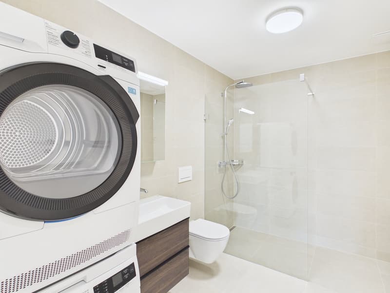 Modern bathroom with walk-in shower, toilet, washbasin, washing machine, and dishwasher.