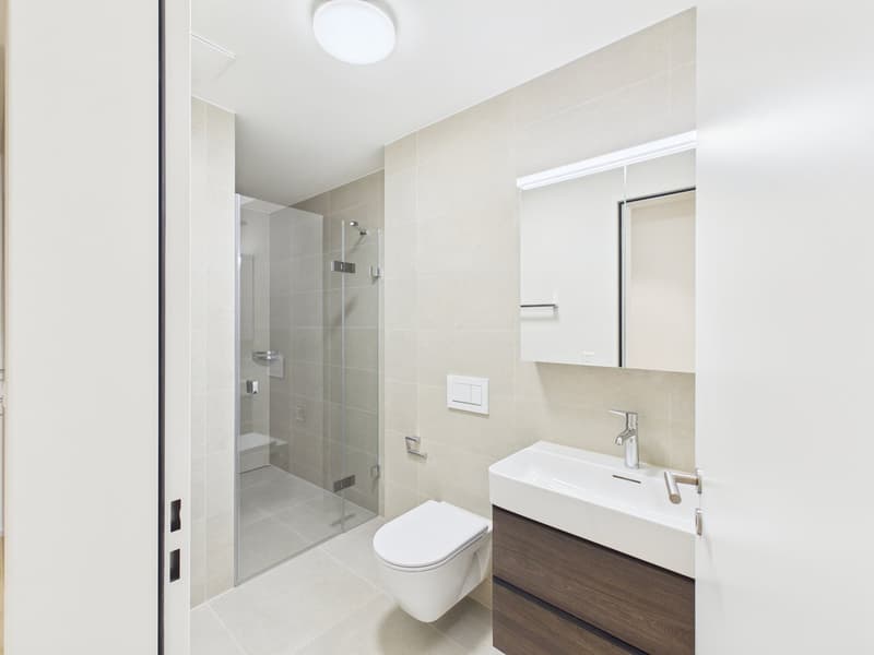 Modern bathroom with a walk-in shower, white toilet, sink with a cabinet, and glass walls.