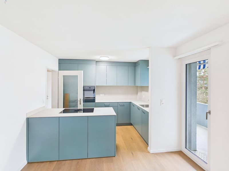 Modern kitchen with blue cabinets, white countertop, glass door to balcony, ceiling lamp, built-in oven and dishwasher