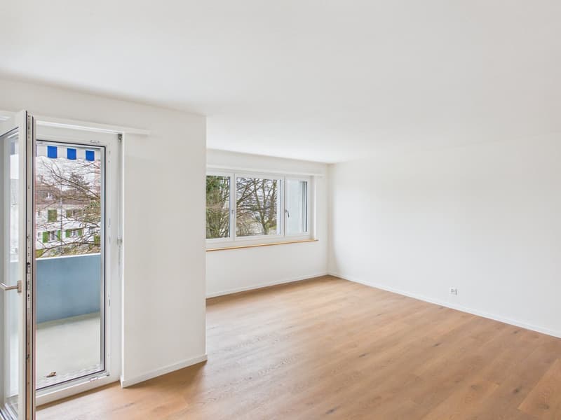 empty room with white walls and wooden floors, large window, balcony