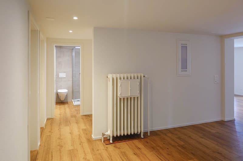 Empty bathroom with a toilet, a glass shower enclosure, wooden floor, white walls, and a radiator