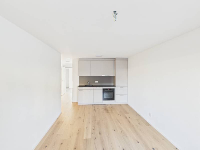 Charming 1.5-room apartment in a quiet location in Oberuzwil (1)