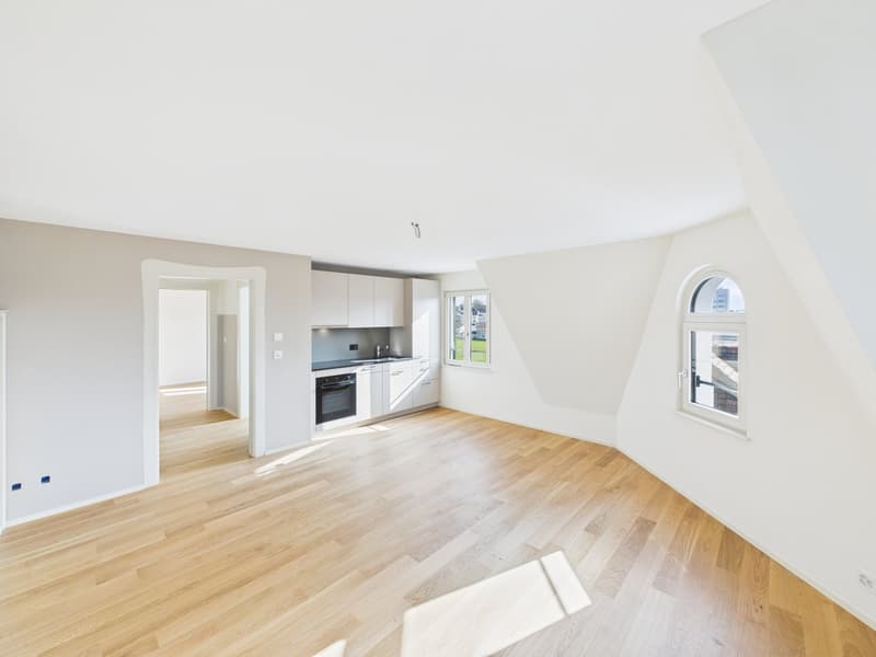 Appartement de 2,5 pièces totalement rénové dans un emplacement central (5)