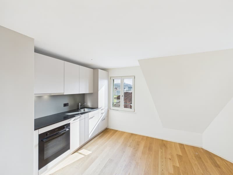 Appartement de 2,5 pièces totalement rénové dans un emplacement central (6)