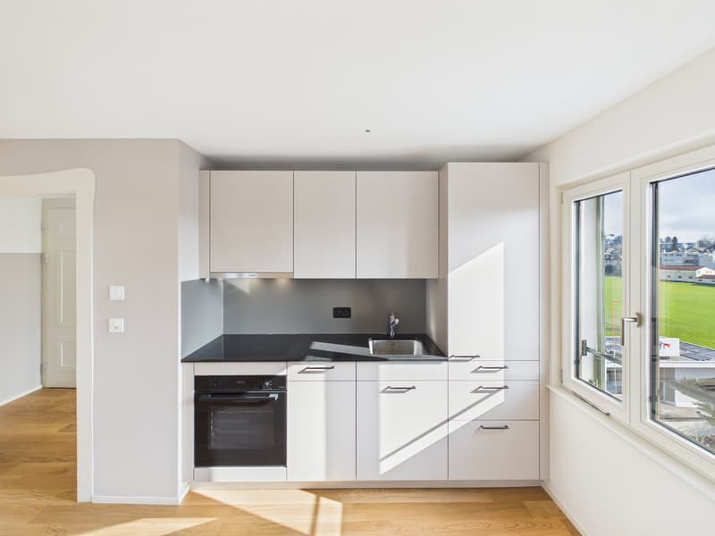 Appartement de 2,5 pièces totalement rénové dans un emplacement central (2)