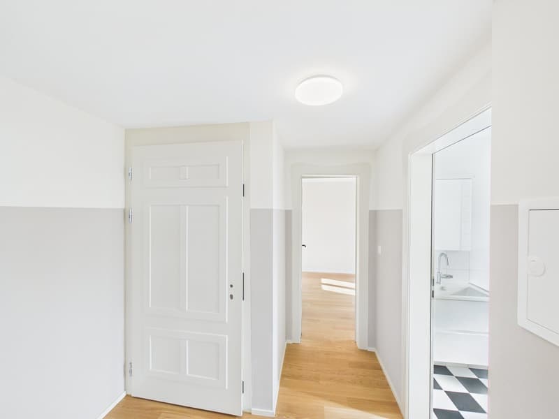 Appartement de 2,5 pièces totalement rénové dans un emplacement central (10)