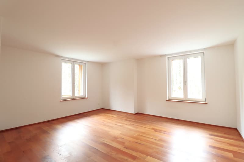 Appartamento moderno 4.5 locali con vista sul verde (4)
