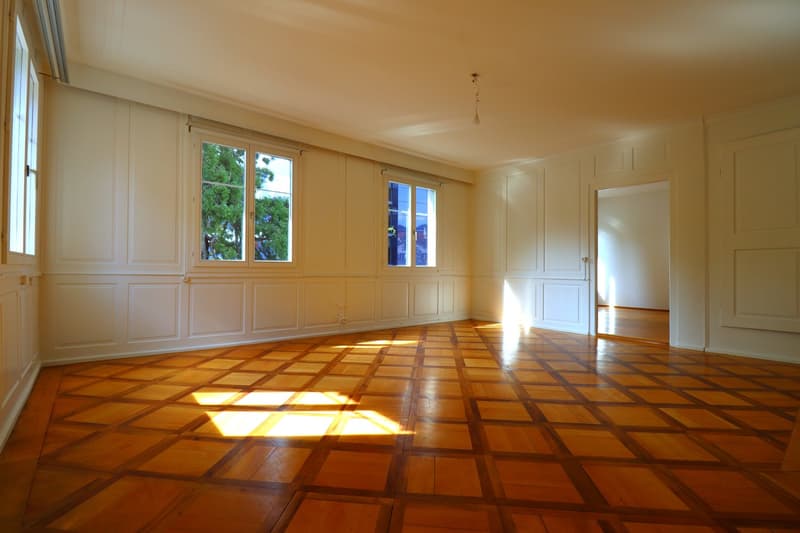 Appartement central à St. Gallen (4)