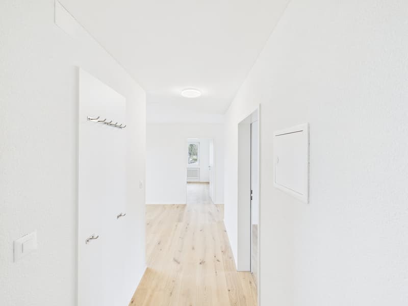 Appartement de 3,5 pièces totally rénové avec deux balcons (9)