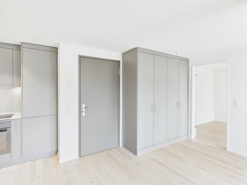 Premier occupation après rénovation de base – Appartements modernes 3.5 pièces avec finition de haute qualité (3)
