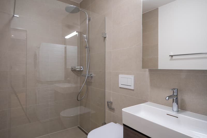 Appartement de jardin moderne 2.5 pièces (3)
