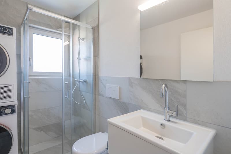 Totalsanierte 2.5-Zimmer-Wohnung in St. Gallen (5)