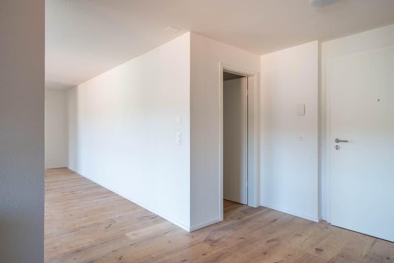 Totalsanierte 2.5-Zimmer-Wohnung in St. Gallen (3)