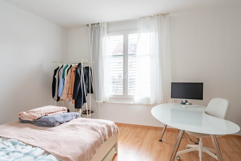 Ideal single apartment (5)