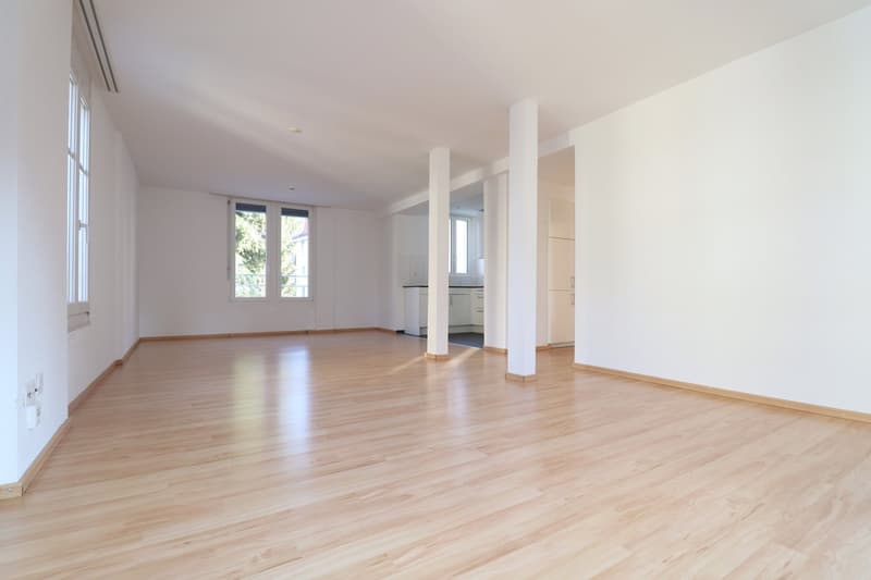 Ideal single apartment (3)