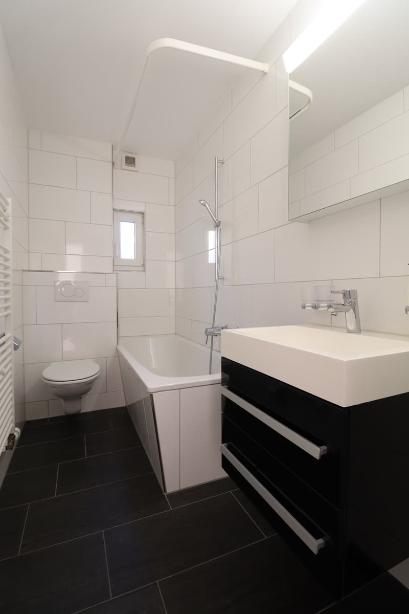 Ideal single apartment (4)