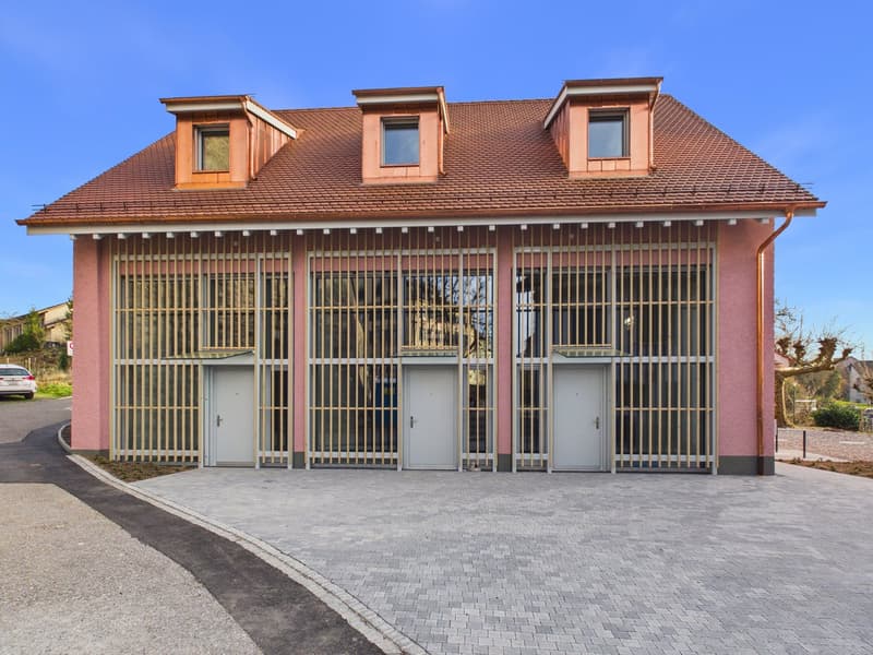 Appartamento duplex moderno di 3 locali a Diessenhofen (16)