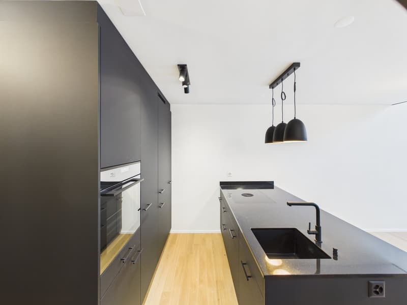 Appartamento duplex moderno di 3 locali a Diessenhofen (9)