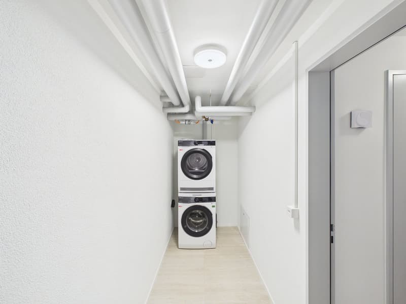 Appartamento duplex moderno di 3 locali a Diessenhofen (12)