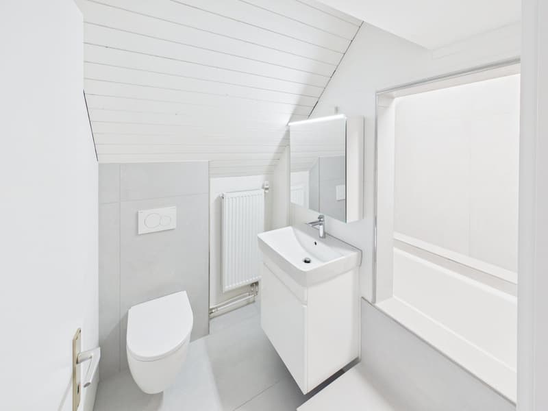 Charming 3.5-room attic apartment in Romanshorn – available immediately! (4)