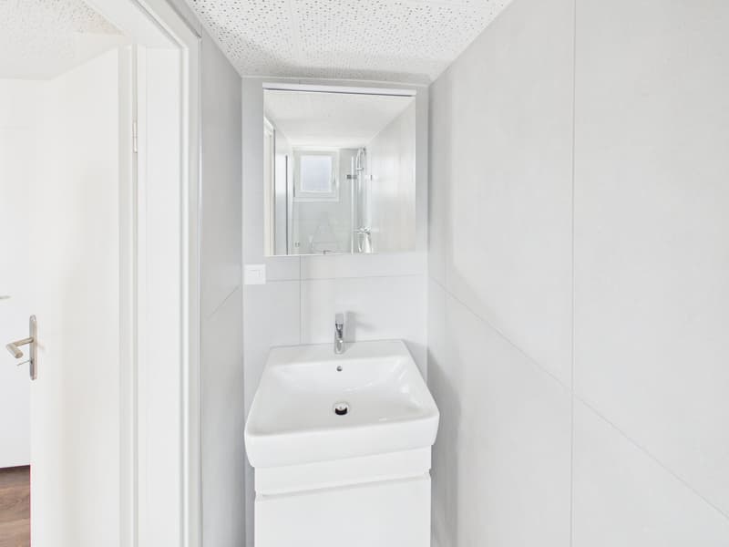 Charming 3.5-room attic apartment in Romanshorn – available immediately! (14)