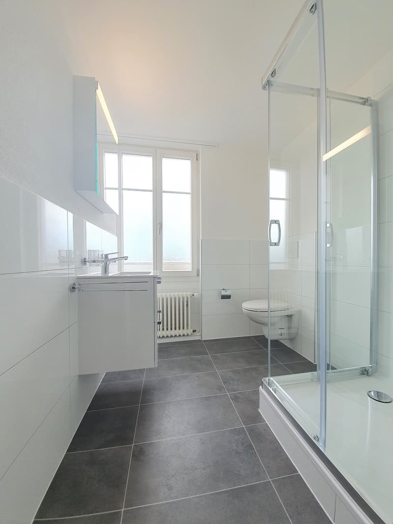 Quiet 2.5-room attic apartment (7)