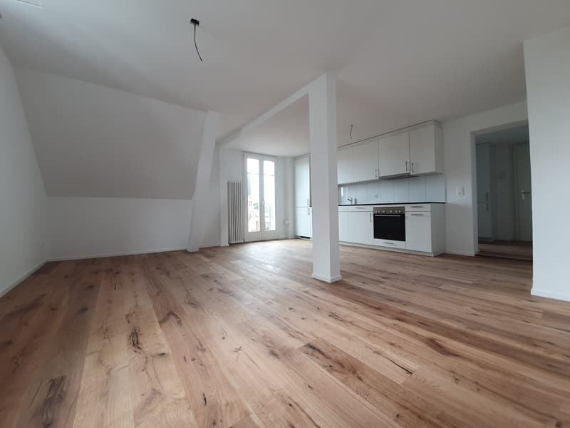 Quiet 2.5-room attic apartment (1)