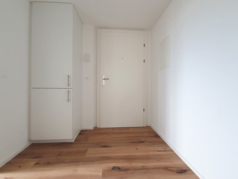 Quiet 2.5-room attic apartment (4)
