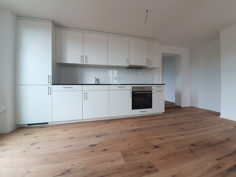 Quiet 2.5-room attic apartment (6)
