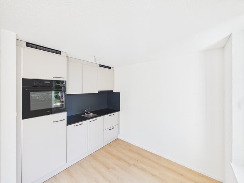 Appartement de 2 pièces rénové dans un quartier calme à St. Gallen (10)