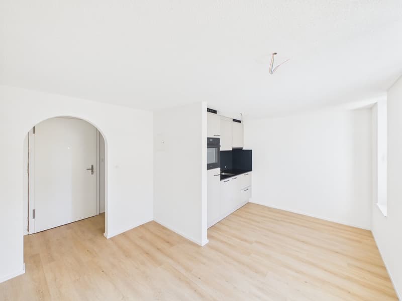 Appartement de 2 pièces rénové dans un quartier calme à St. Gallen (2)