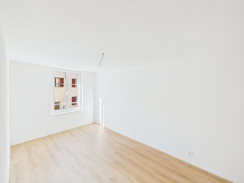 Appartement de 2 pièces rénové dans un quartier calme à St. Gallen (7)