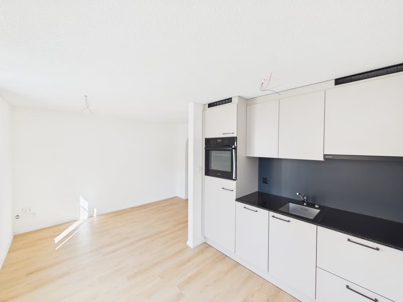 Appartement de 2 pièces rénové dans un quartier calme à St. Gallen (1)