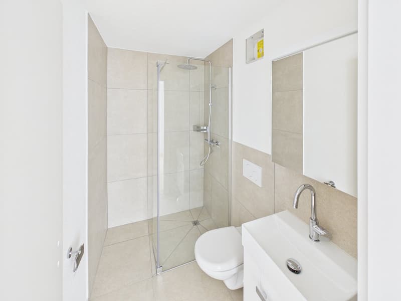 Appartement de 2 pièces rénové dans un quartier calme à St. Gallen (3)