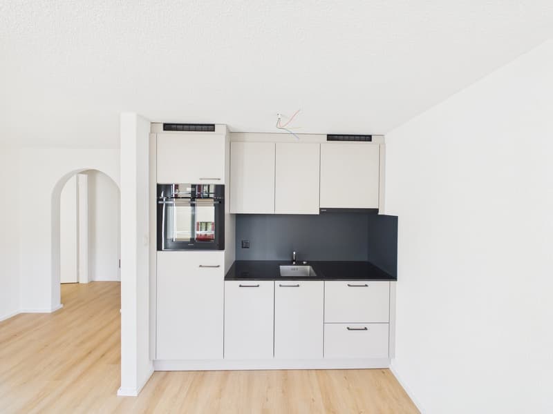 Appartement de 2 pièces rénové dans un quartier calme à St. Gallen (5)