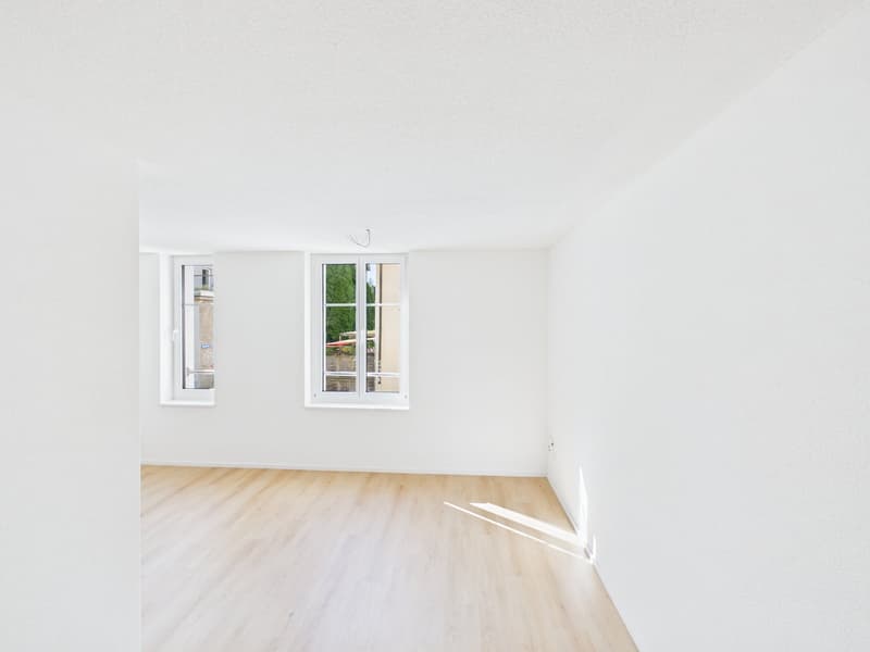 Appartement de 2 pièces rénové dans un quartier calme à St. Gallen (6)
